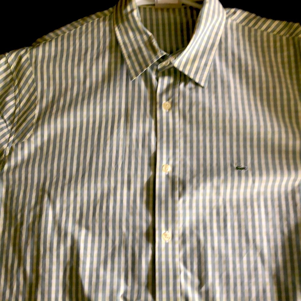 Lacoste tailored for button down shirt
